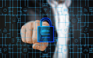 mk体育电脑版下载-体育赛事风控体系强化，保障赛事顺利进行，体育赛事风险的处理方法